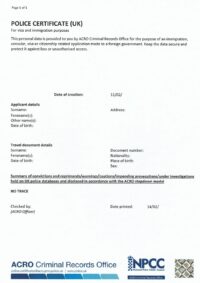 Criminal Record
